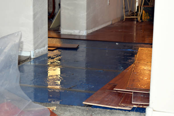 Professional Basement Water Removal technician working in Addison, TX